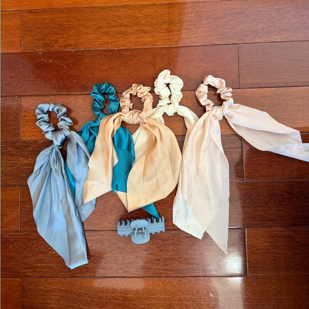 Set of 5 Satin Hair Scrunchies with Hair Claw Clip
